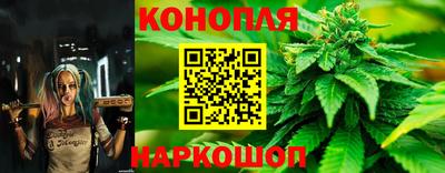 jwh Нальчик