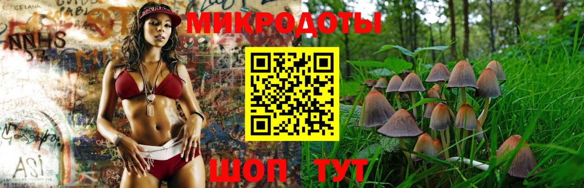 Ставрополь  где можно купить   Псилоцибиновые грибы Cubensis  Вход с VPN  Псилоцибиновые грибы MAGIC MUSHROOMS 