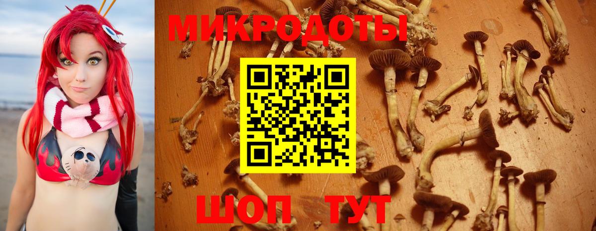Галлюциногенные грибы ЛСД Ставрополь